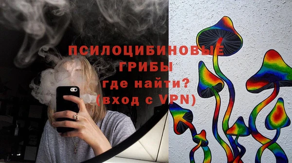 спиды Аркадак