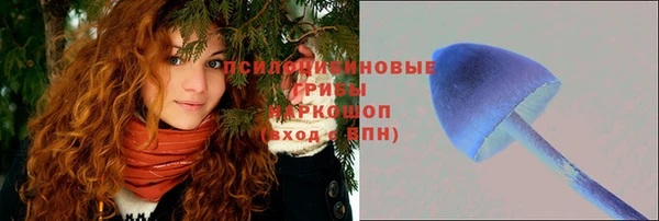 спиды Аркадак